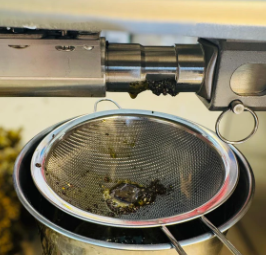 Commercial Stainless Steel Oil Press Machine | Automatic Oil Extractor Machine