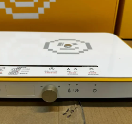 Solista Double burner induction cooker with grill