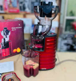 SAVTM Slow Juicer 2 In 1, Ice Cream & Cold Press Juicer 250W JE-31