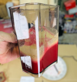 SAVTM Slow Juicer 2 In 1, Ice Cream & Cold Press Juicer 250W JE-31