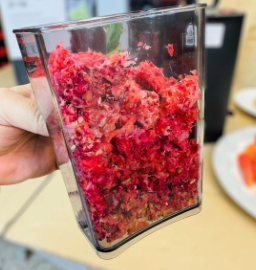 Canoly Masticating Juicer | Slow Juicer JE-75B