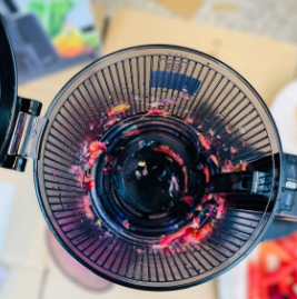 Canoly Masticating Juicer | Slow Juicer JE-75B