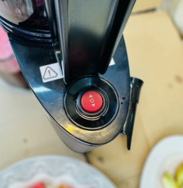 Canoly Masticating Juicer | Slow Juicer JE-75B