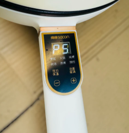 Imported Electric Fry Pan With Food Steamer