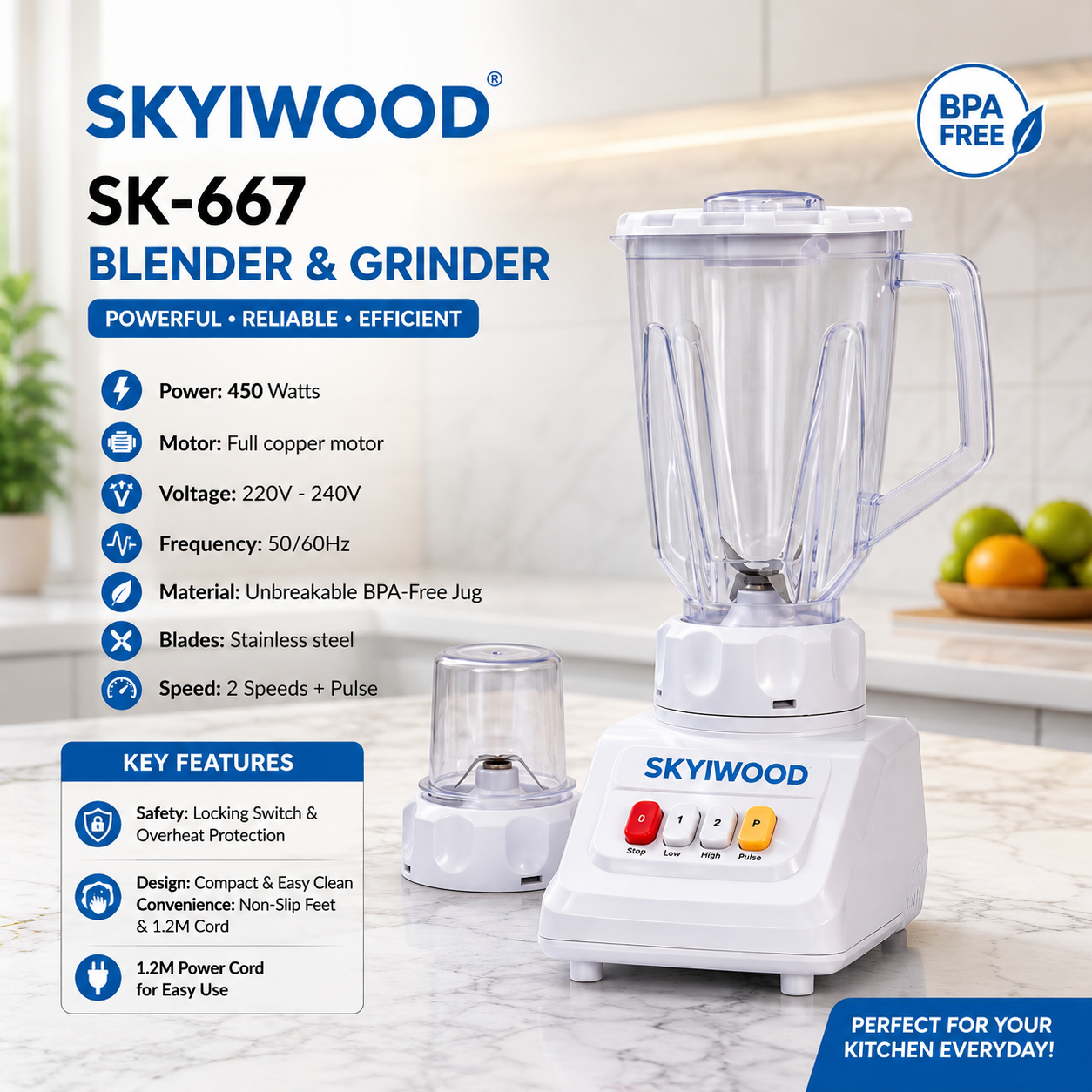 Skyiwood 2 in 1 Blender & Grinder 450W – Powerful Electric Kitchen Appliance SK667